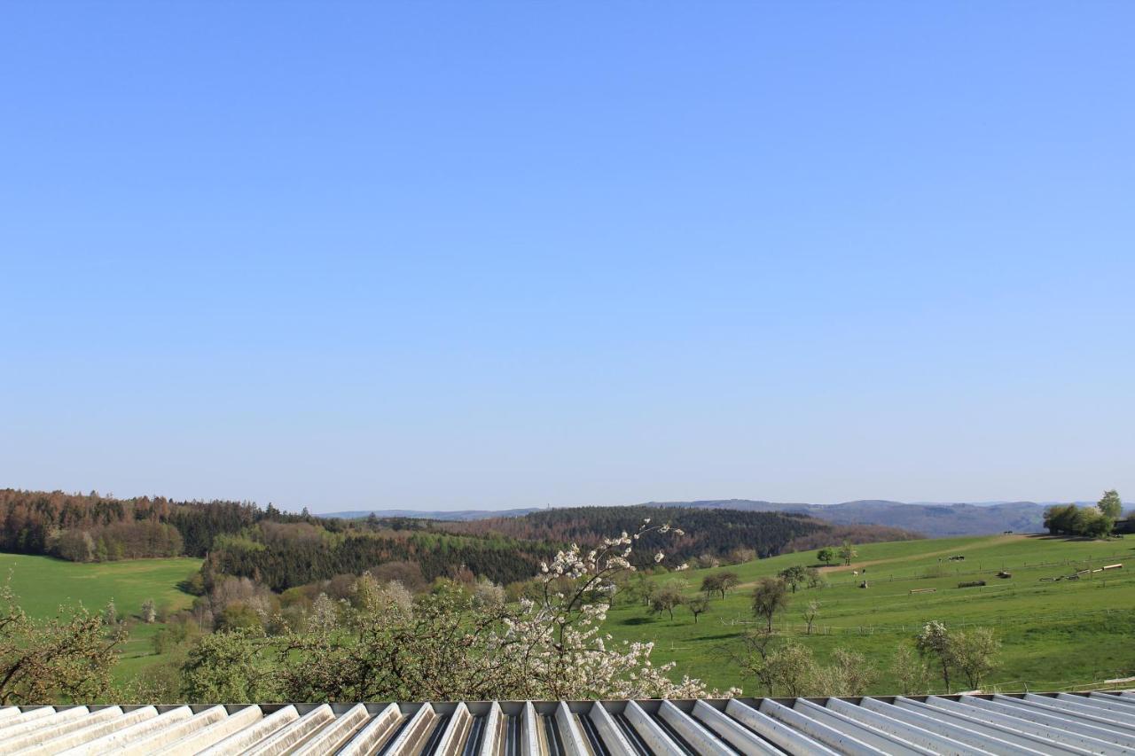 "Die Jockeysuite" Auf Unserem Reiterhof Birkenbeul Exterior foto